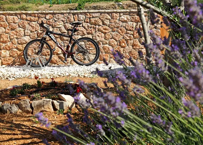 Villa Ema&Stela Bol