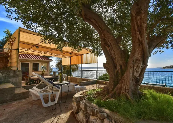 Pet friendly Apartments Dominika Trogir