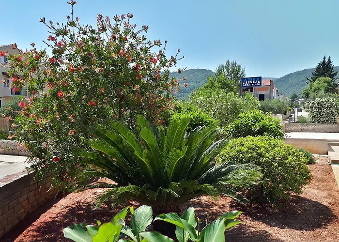 Pet friendly Apartments Aria Stari Grad 