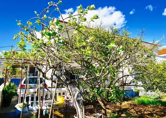 Pet friendly House Mariposa Hotel Trogir